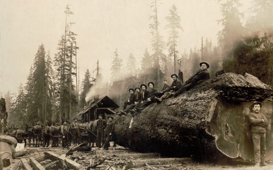 Northwest Logging Camps