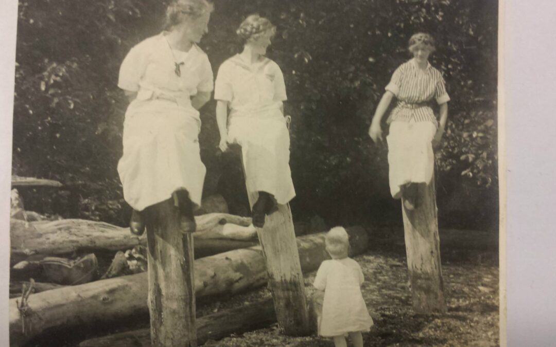 Sitting on tree stumps