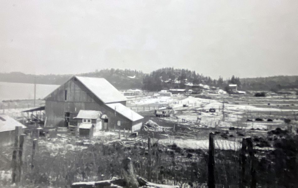 Maxwelton in the 1950s